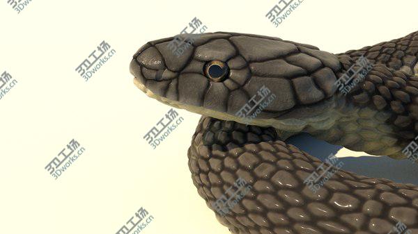 images/goods_img/20210312/3D model King Cobra Rigged Animated/4.jpg